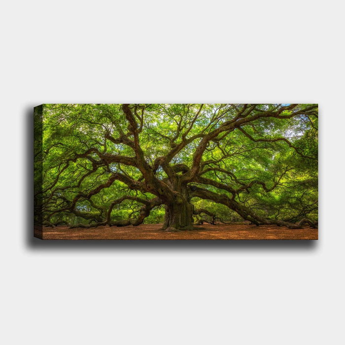 Wallity Lienzo Decorativo Multicolor 50 x 120 cm